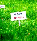 Парцел в с. Тополи