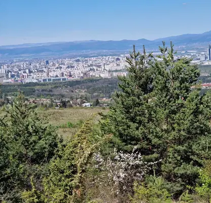 Photo 5 — Plot in Pancharevo