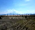 Снимка 4 — Парцел в с. Волуяк
