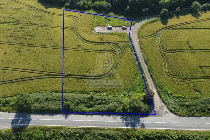 Plot in Izvor