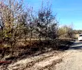 Снимка 2 — Парцел в с. Звездица