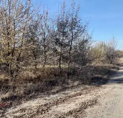 Photo 2 — Plot in Zvezdica