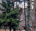Снимка 3 — Парцел в с. Бистрица
