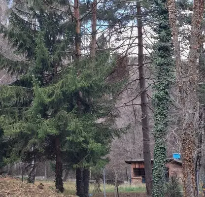 Снимка 3 — Парцел в с. Бистрица