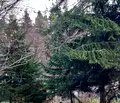 Снимка 4 — Парцел в с. Бистрица