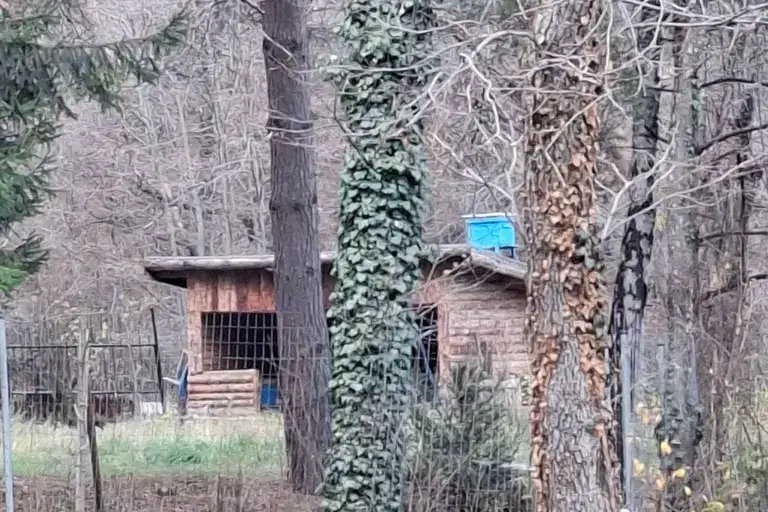 Парцел в с. Бистрица