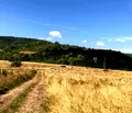 Снимка 3 — Парцел в с. Кокаляне