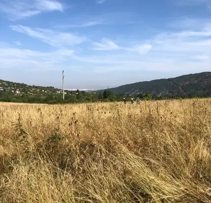 Снимка 4 — Парцел в с. Кокаляне