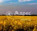 Снимка 2 — Парцел в с. Горни Богров
