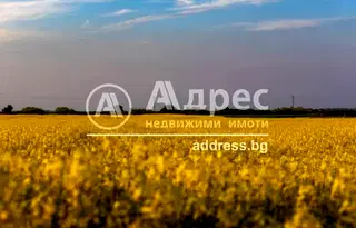 Парцел в с. Горни Богров