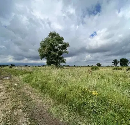 Photo 2 — Plot in Busmanci