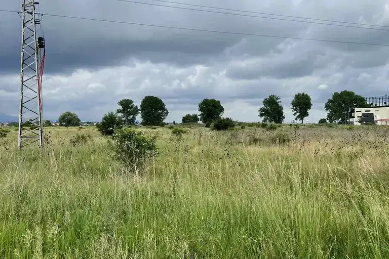 Plot in Busmanci