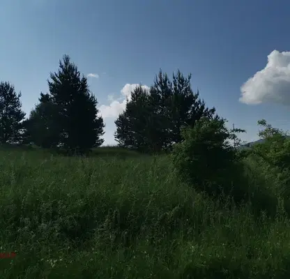 Photo 2 — Plot in Plana