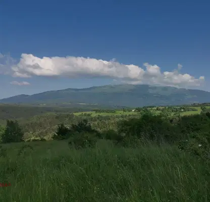Photo 5 — Plot in Plana