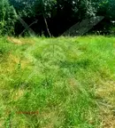 Парцел в Пловдив, Беломорски