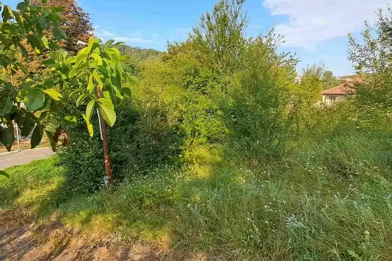 Plot in Gabrovo, Borovo