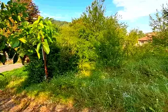Парцел в Габрово, Борово