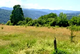 Парцел в Габрово, Център