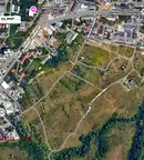 Парцел в София, Дървеница