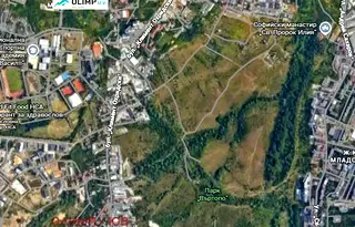 Парцел в София, Дървеница
