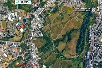 Парцел в София, Дървеница