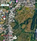 Парцел в София, Дървеница
