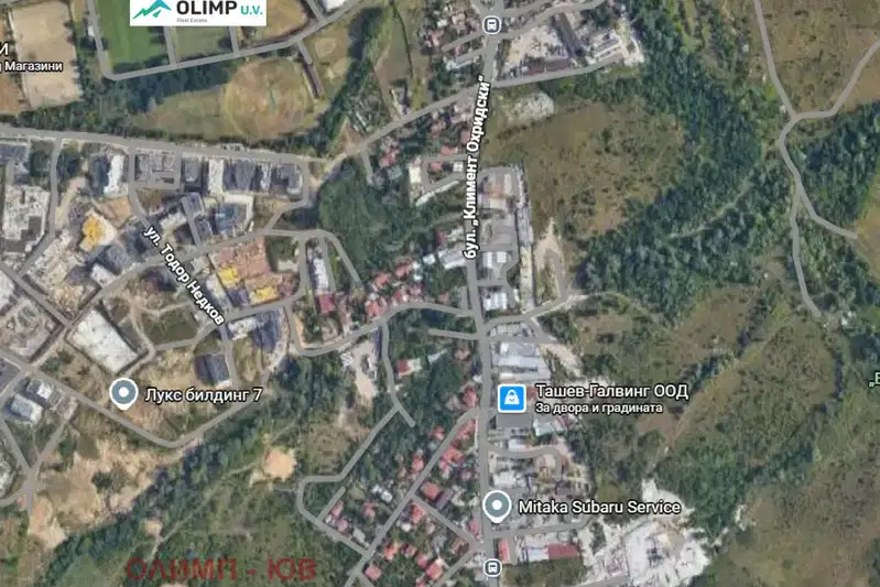 Парцел в София, Дървеница