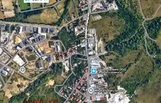 Парцел в София, Дървеница