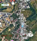 Парцел в София, Дървеница