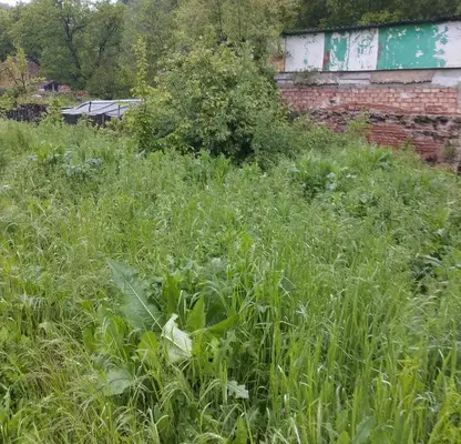 Photo 3 — Plot in Gabrovo, Etyra