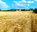 Снимка 4 — Парцел в София, Горна баня