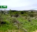Снимка 2 — Парцел в Стара Загора, Железник - център