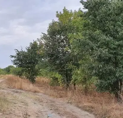 Снимка 4 — Парцел в Пловдив, Коматевски възел