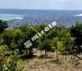 Снимка 2 — Парцел във Варна, м-т Акчелар