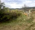 Снимка 3 — Парцел в Стара Загора, м-т Беш Бунар