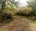 Снимка 5 — Парцел в Стара Загора, м-т Беш Бунар