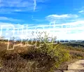 Снимка 2 — Парцел във Варна, м-т Боровец - юг