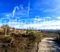 Снимка 5 — Парцел във Варна, м-т Боровец - юг