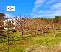 Снимка 3 — Парцел във Варна, м-т Горна Трака