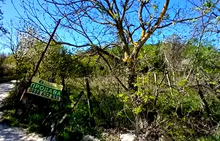 Парцел във Варна, м-т Манастирски рид