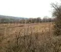 Снимка 4 — Парцел във Варна, м-т Прибой