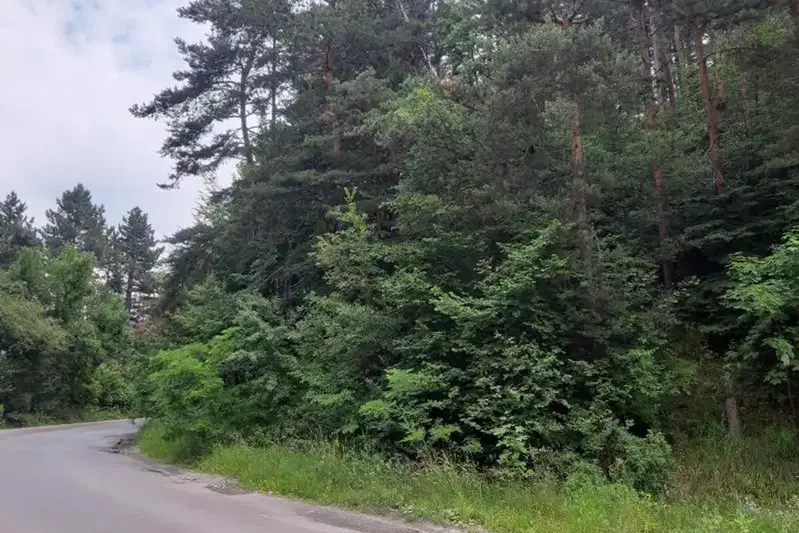 Парцел в София, м-т яз. Искър