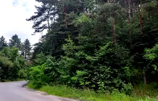 Парцел в София, м-т яз. Искър