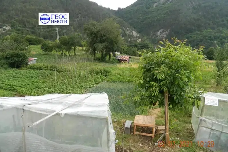 Парцел в Смолян, Невястата