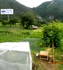 Парцел в Смолян, Невястата