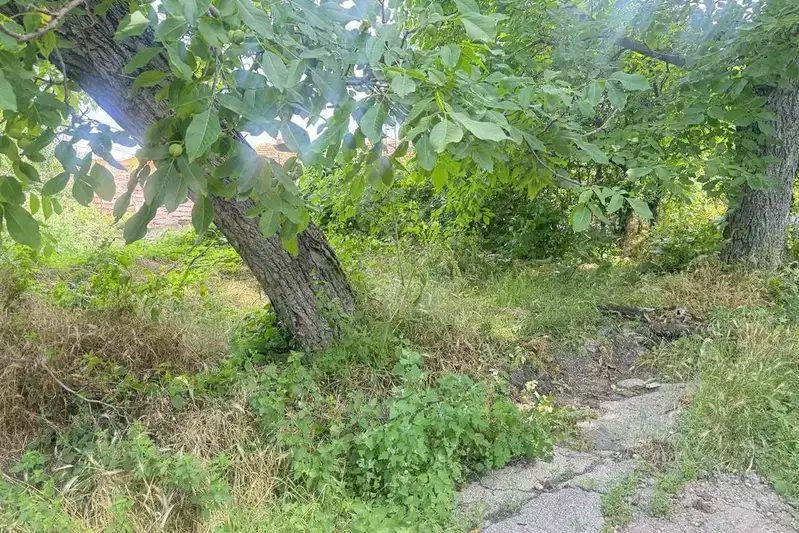 Парцел в Русе, Новата махала