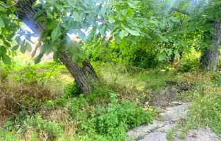 Парцел в Русе, Новата махала