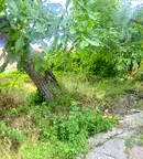 Парцел в Русе, Новата махала