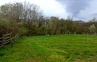 Парцел в Габрово, Тлъчници