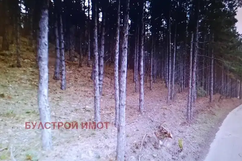 Парцел във Варна, Виница
